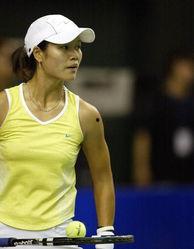 网球明星李娜个人资料,网球赛场上的中国骄傲与奋斗传奇